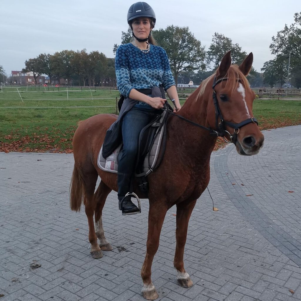 Frau auf braunem Pony