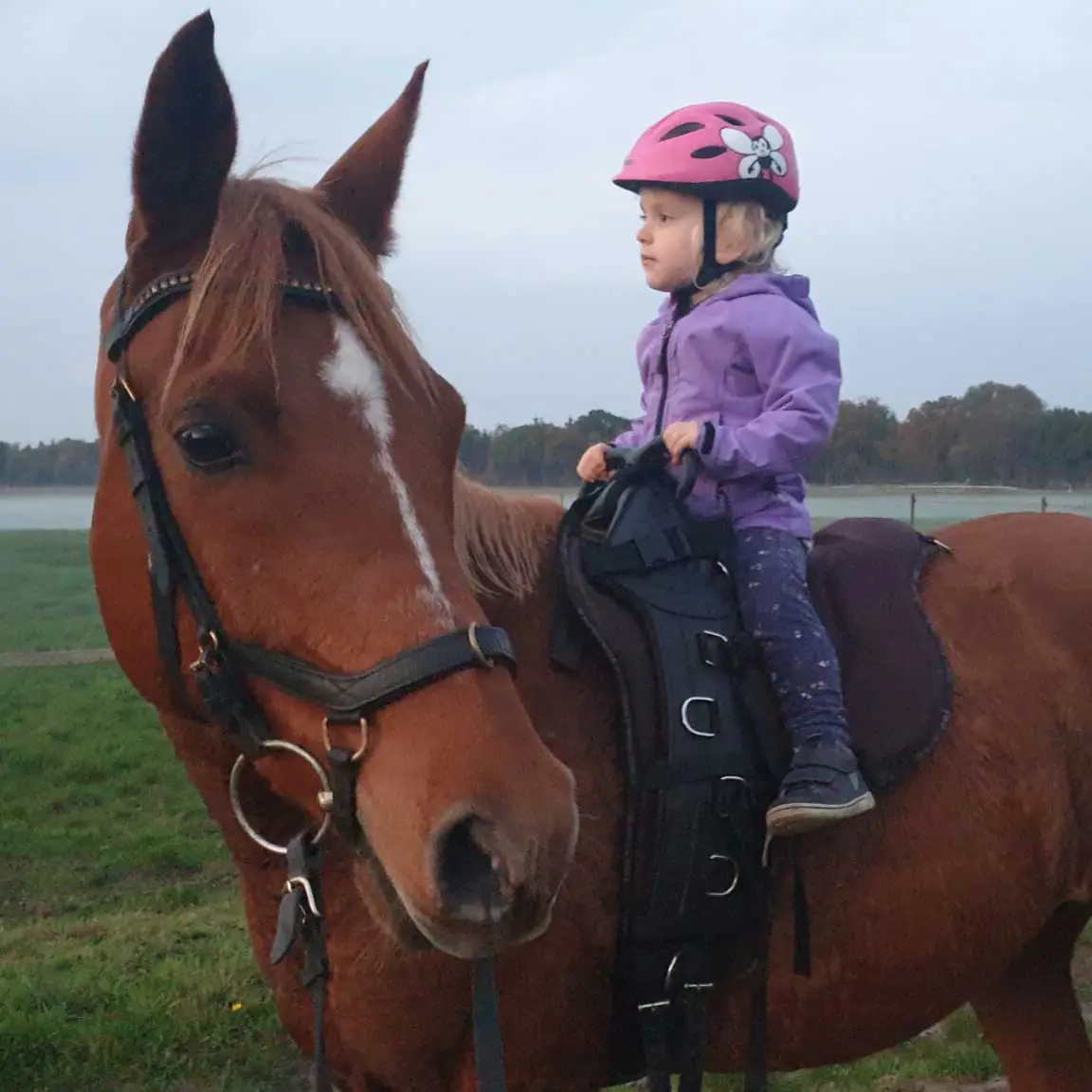 Therapeutisches Reiten für Kinder in Petersfehn