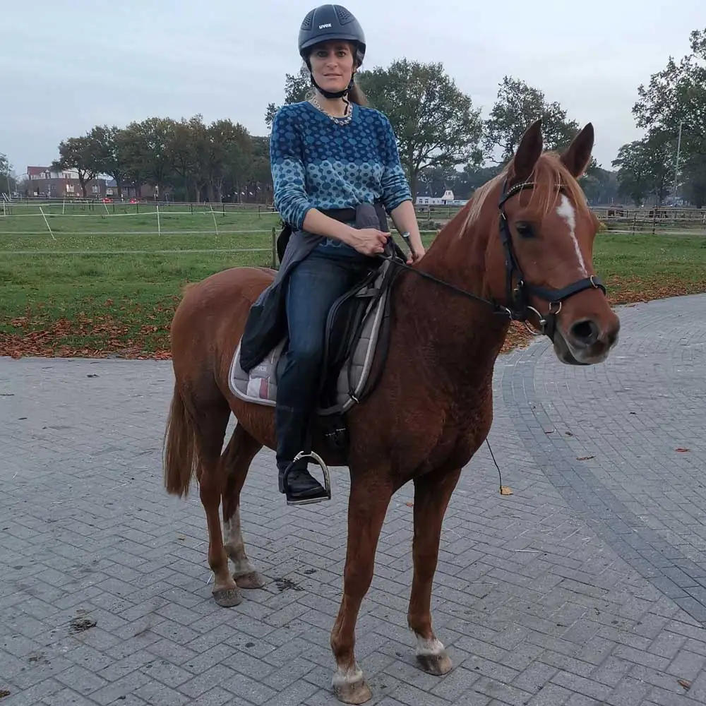 Therapeutisches Reiten für Kinder mit Ingke Langner